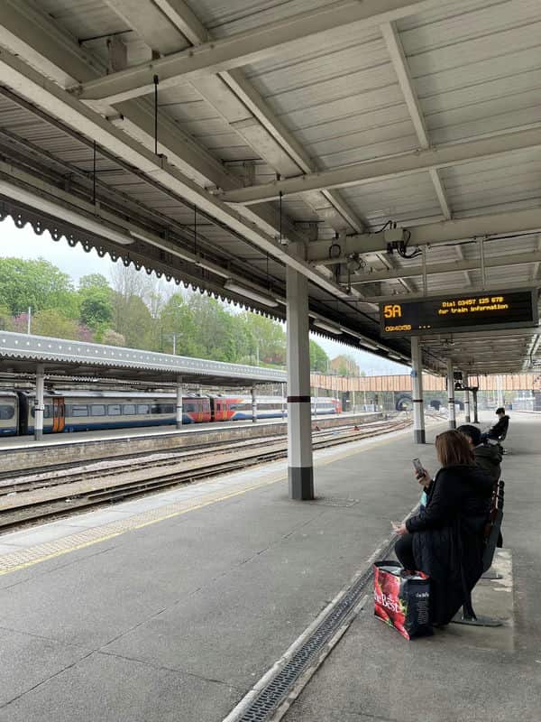 劍橋教育助力走進藝術殿堂：我的金斯頓大學申請之路