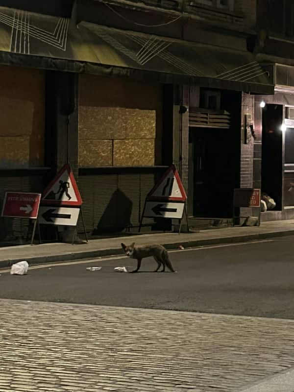 劍橋教育帶我走向伯明罕大學的AI碩士之路