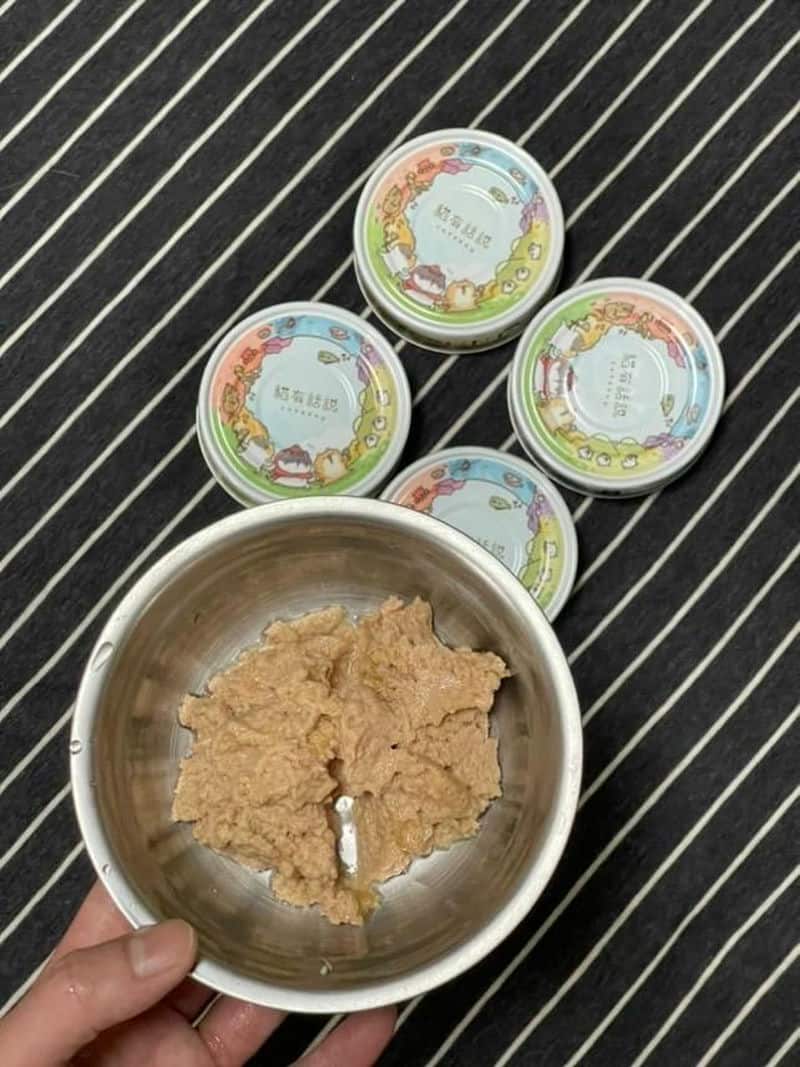 貓有話說的乳鐵蛋白主食餐包真的好好吃