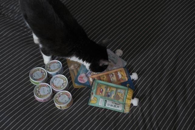 「貓有話說」的乳鐵餐包貓咪超愛！