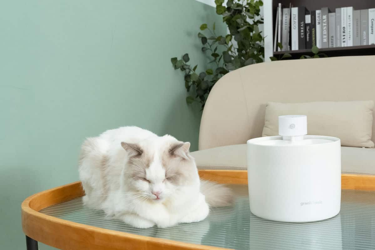 寵物健康的守護神—GC喝不停AquaLux智能陶瓷飲水機，聰