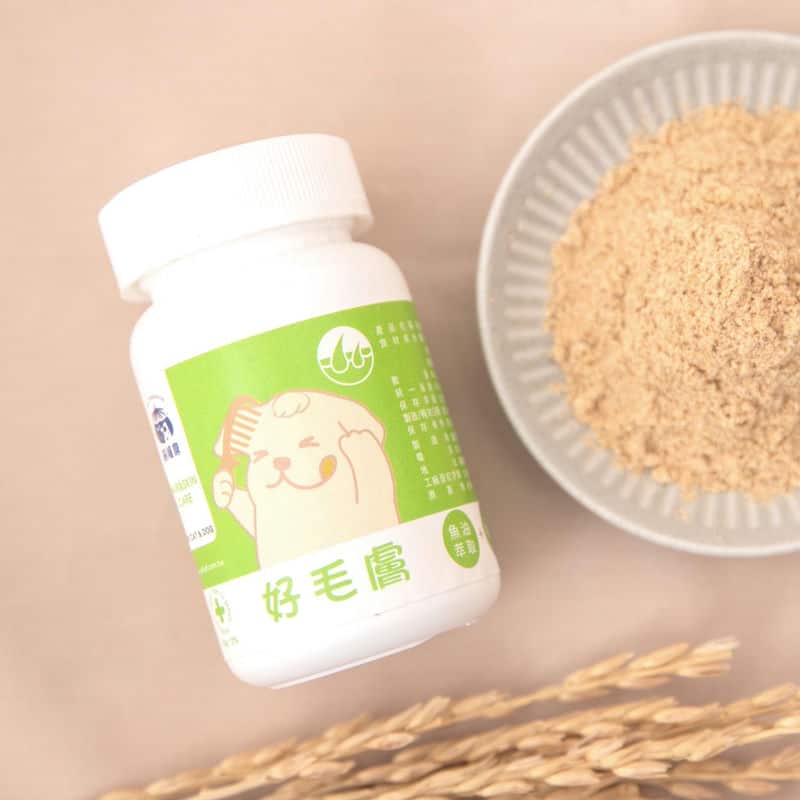 貓咪世界新手指南：探索飼糧倉的完美保健方案