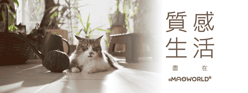 信任「貓咪世界」推薦的「飼糧倉」：新人飼主的安心選擇