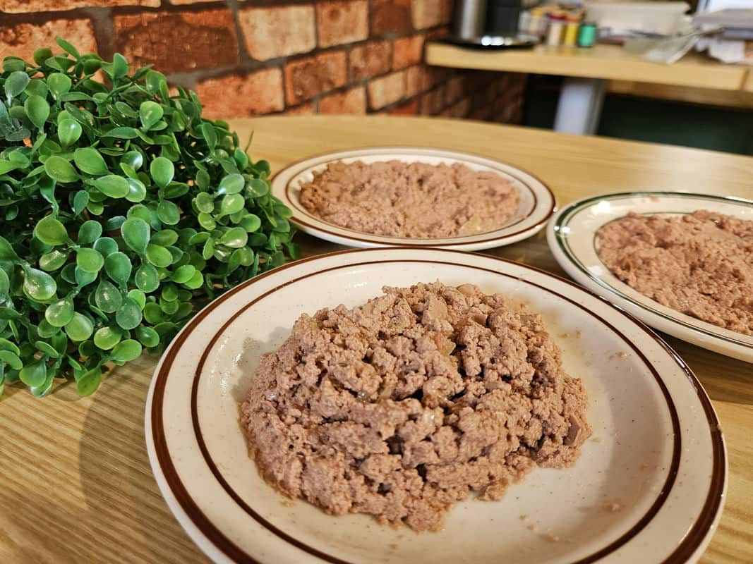 必須肉肉工作室：讓您的毛孩享受健康飲食的選擇