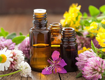 在台北上門按摩中重拾活力,讓壓力不再沉重 在台北上門按摩中重拾活力,讓壓力不再沉重