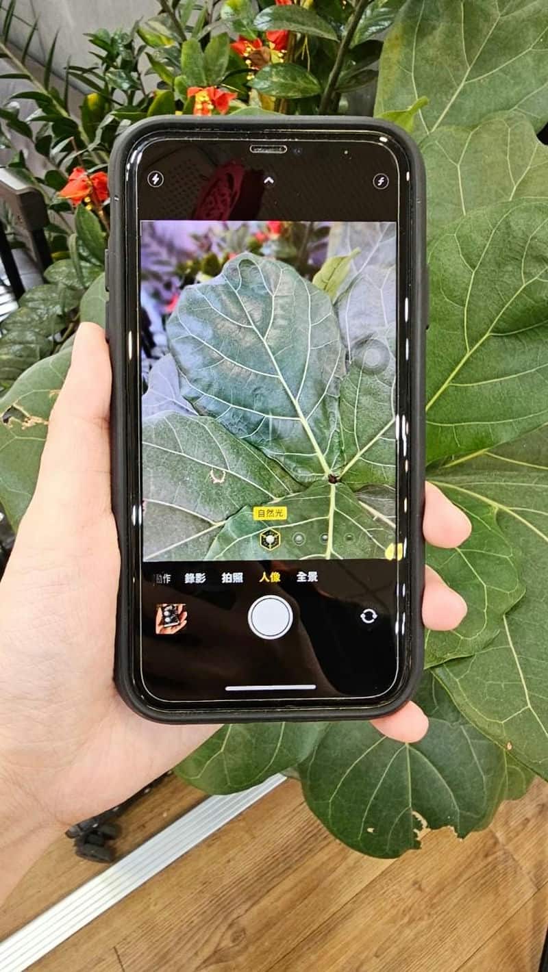 2024年眼睛疲勞緩解的秘密武器：膜力威AR增透抗藍光保護貼