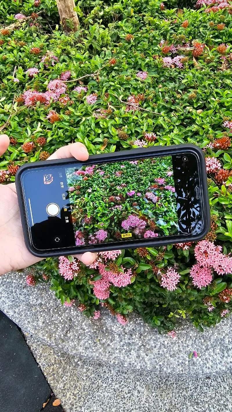 膜力威抗藍光保護貼：給雙眼最好的防護