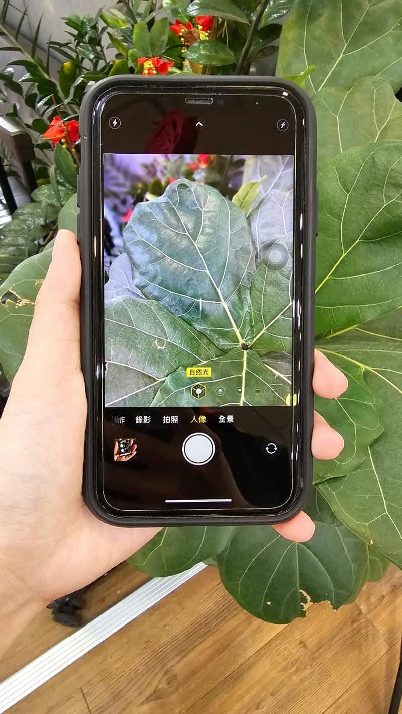 膜力威抗藍光保護貼：保護雙眼的最佳選擇