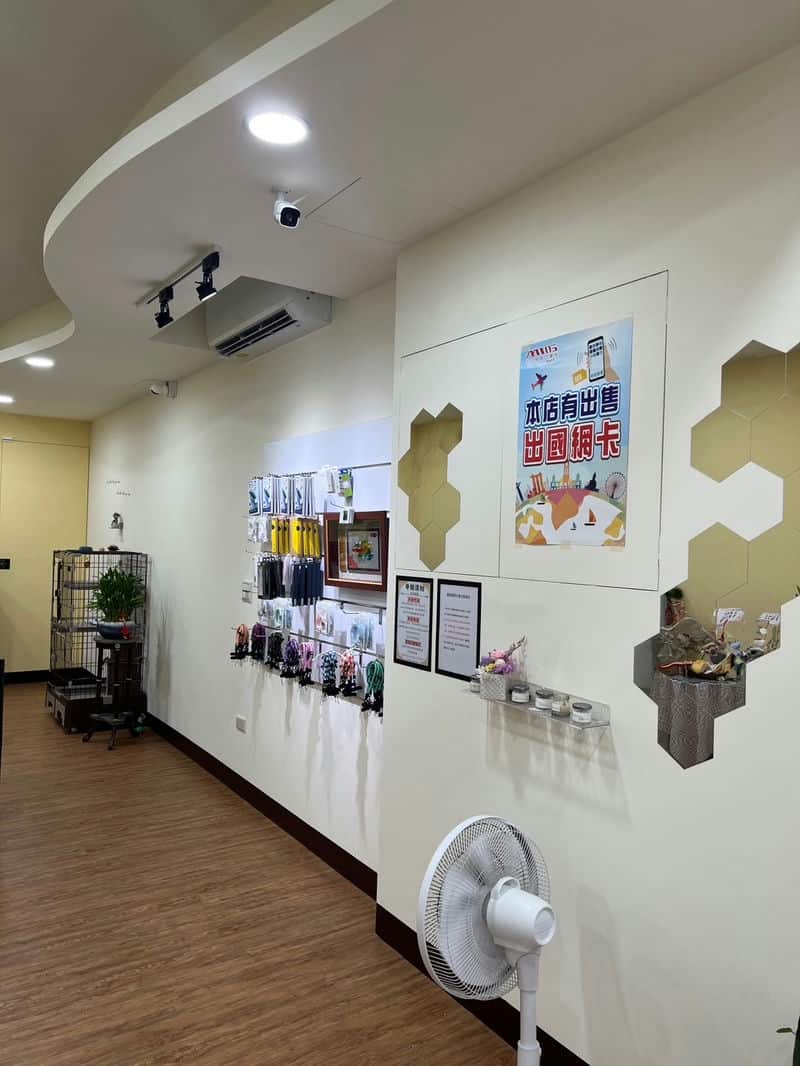 斗六店手機選擇新體驗！無壓力購機，真實分享！